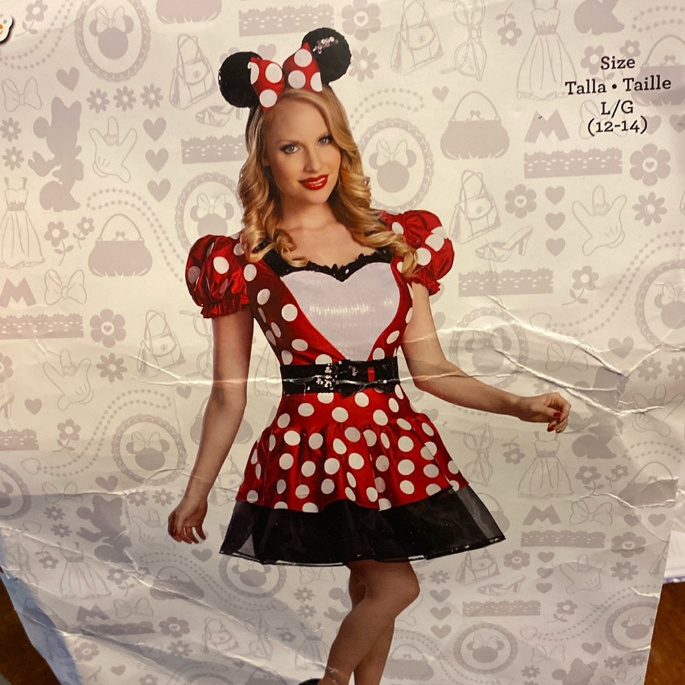 Minnie Mouse Costume